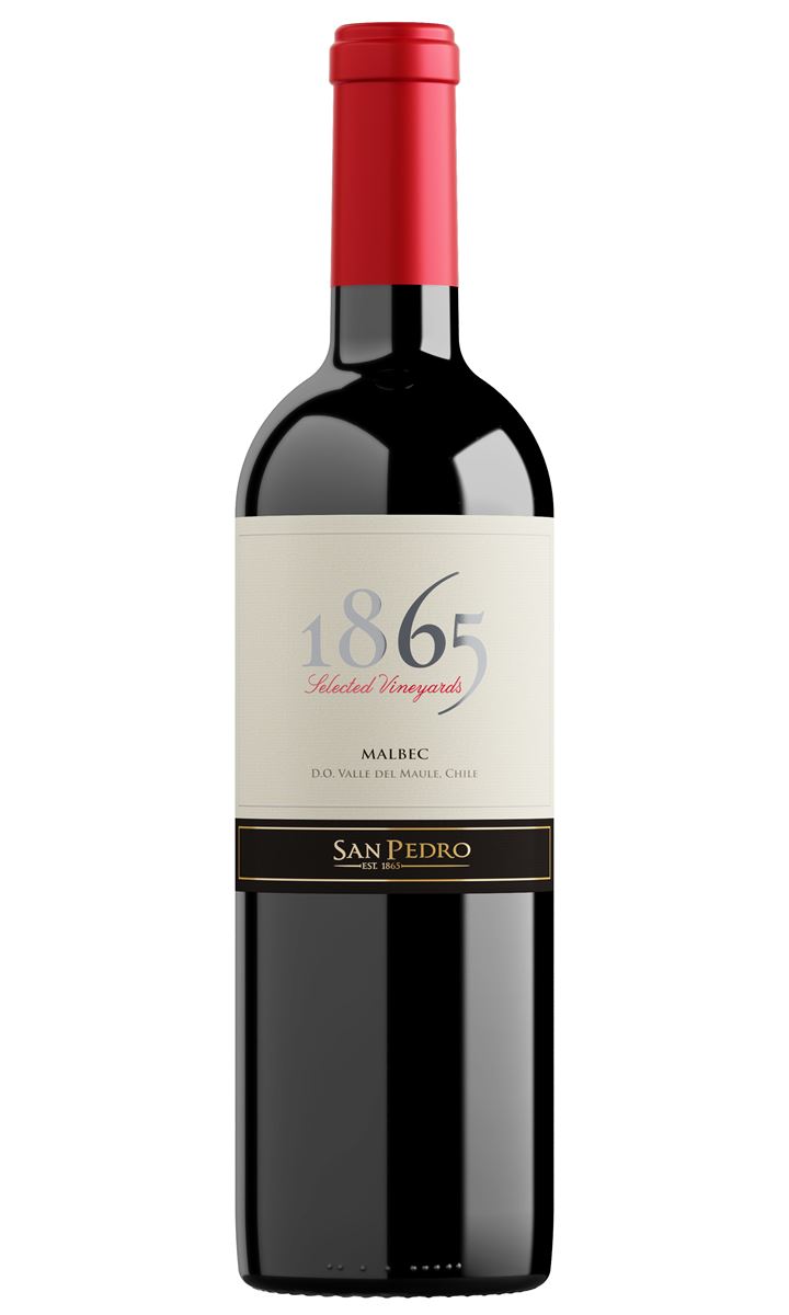 Vinho Tinto 1865 Single Vineyard Malbec 750ml