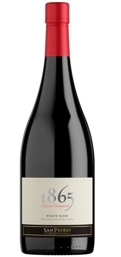 Vinho Tinto 1865 Single Vineyard Pinot Noir 750ml