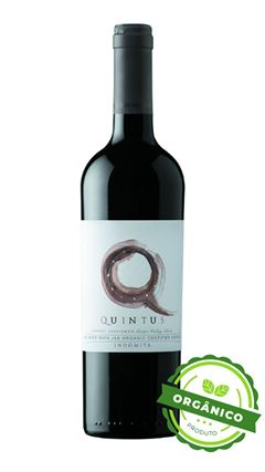 VH TTO INDOMITA QUINTUS CABERNET SAUVIGNON(ORG+éNICO) 750ML