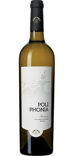 Vinho branco Poliphonia reserva 750ml