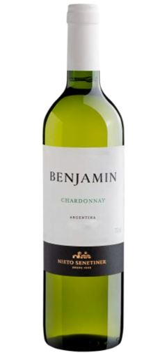 Vinho Branco Benjamin Nieto Chardonnay 750ml