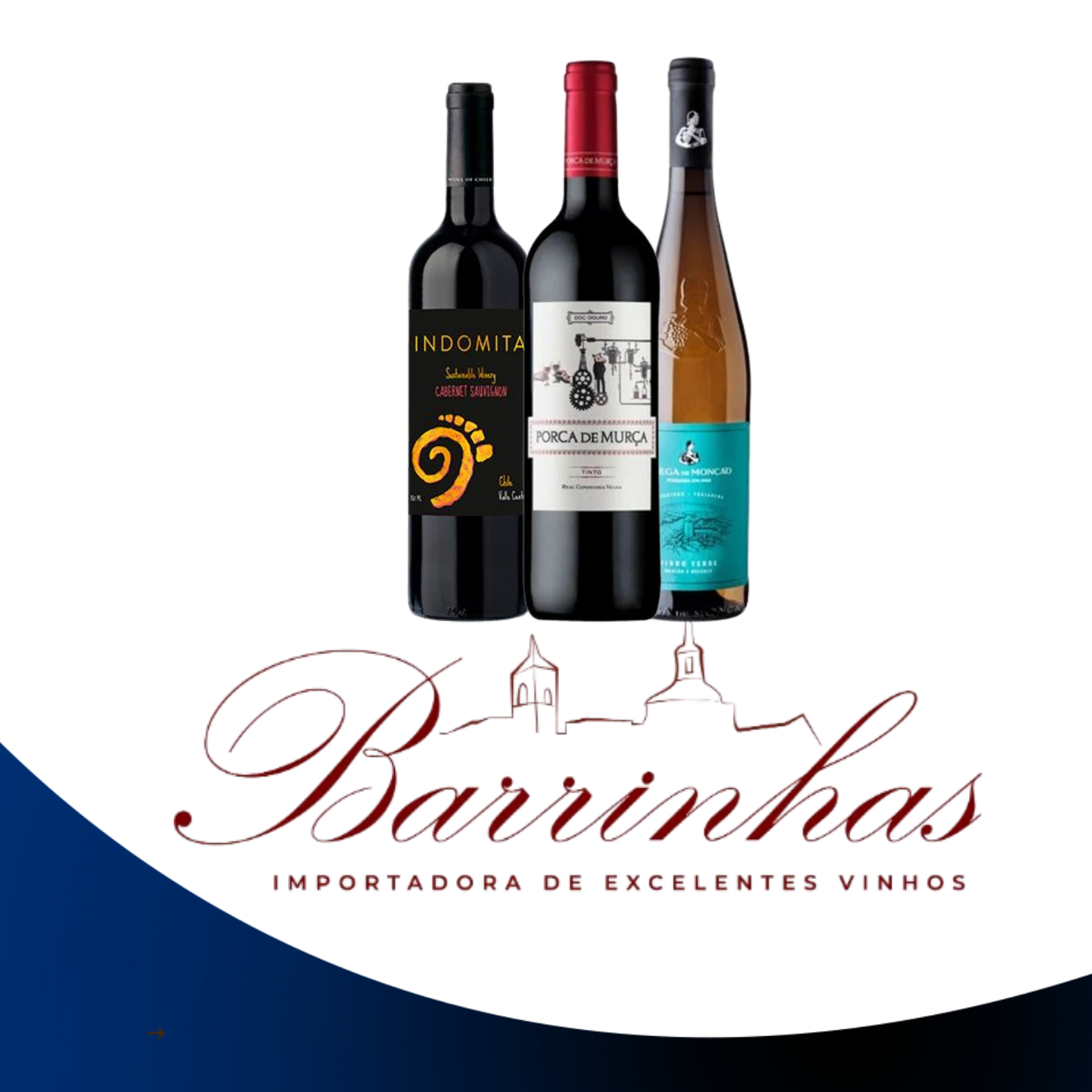 Barrinhas Importadora